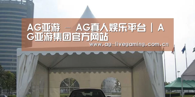 案例标题八