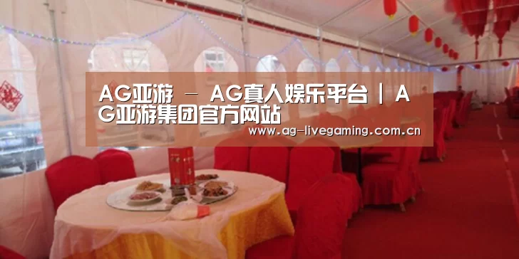 案例标题二