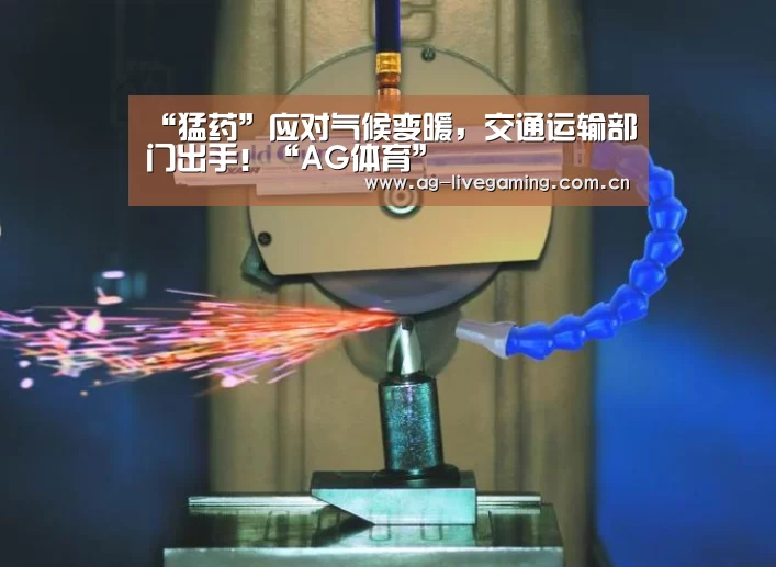 AG真人
