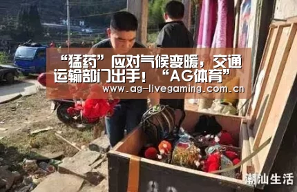 AG亚游