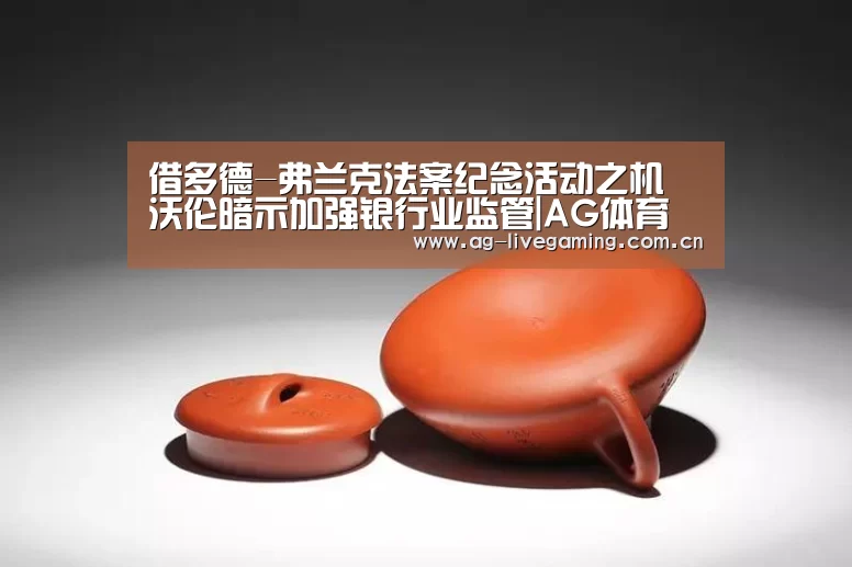 借多德-弗兰克法案纪念活动之机 沃伦暗示加强银行业监管|AG体育(图2) AG亚游