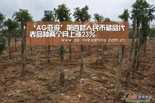 ‘AG亚游’第四套人民币藏品代表品种两个月上涨23%(图1) AG真人