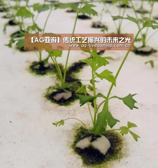 【AG亚游】传统工艺振兴的未来之光(图1) AG体育